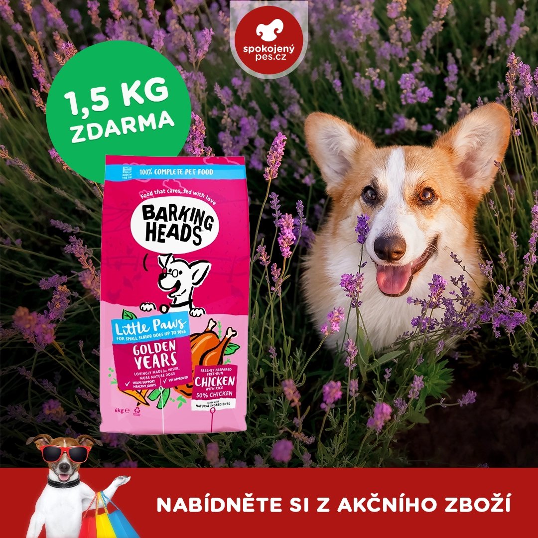 dog barking 2.webp